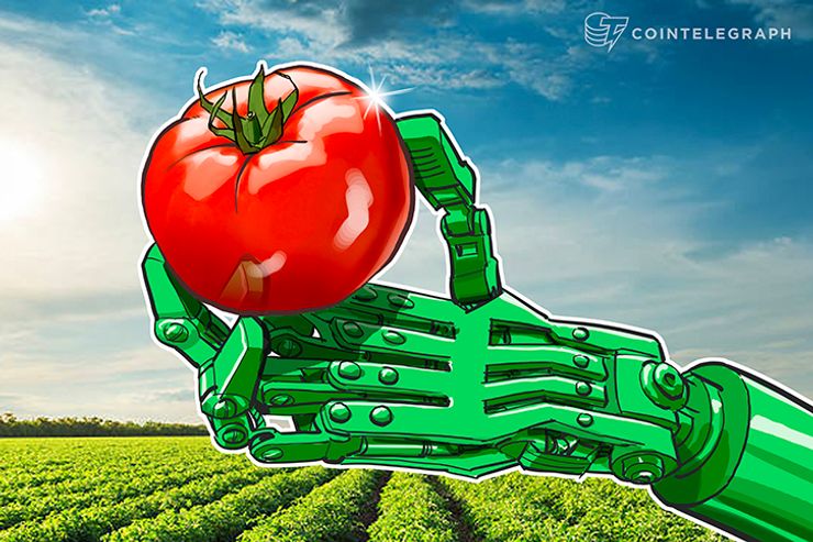 Los tomates son el próximo producto para experimentar la revolución de la cadena de bloques
