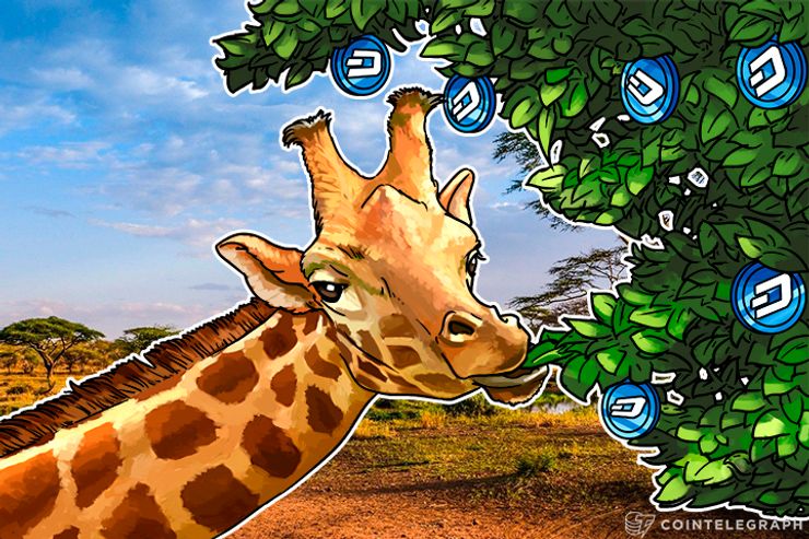 Dash’s Baby Giraffe: Govts Could Target Businesses That Seek to Integrate Anonymous Currencies