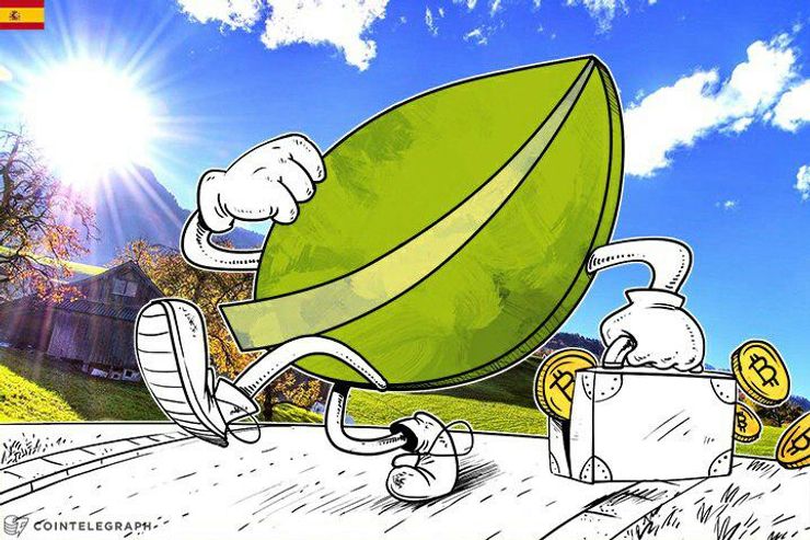 Las lecciones que nos dejó el caso Bitfinex