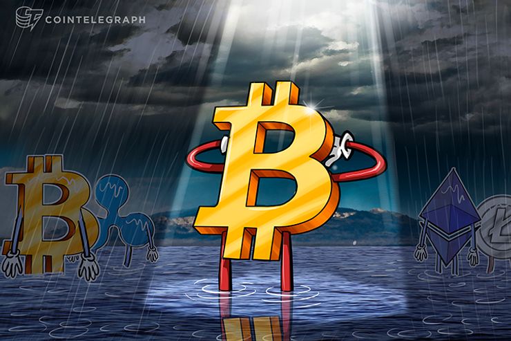 No SegWit2x Makes Bitcoin Cash Shine Amidst Crypto Bloodbath