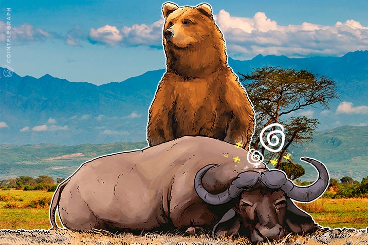 بيتكوين تكافح: فهل يسيطر الاتجاه الهبوطي على الوضع؟