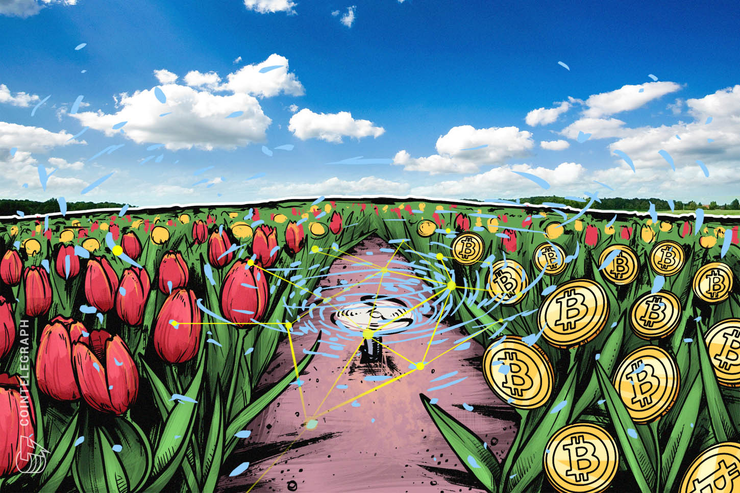 Chefökonom einer globalen Investmentfirma vergleicht Krypto mit der Tulpenmanie des 17. Jahrhunderts