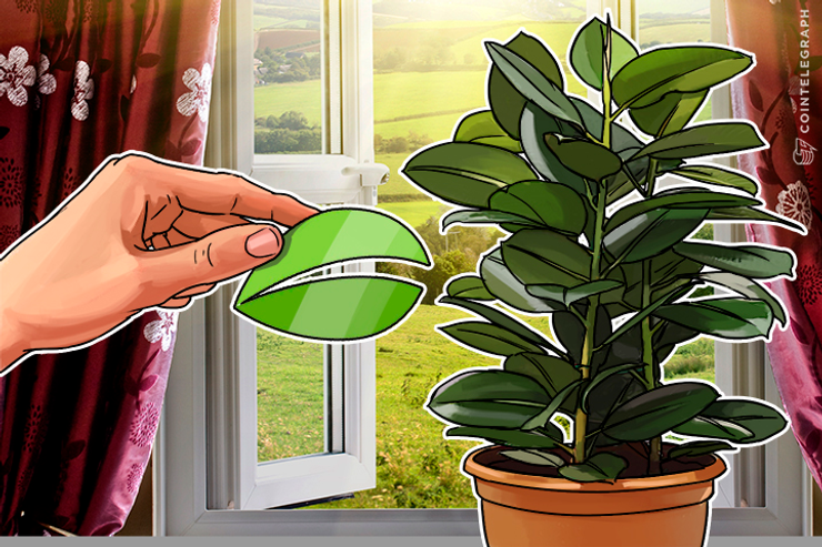 Bitfinex May Spread the Loss of US$70 Million Among Users; Repay?