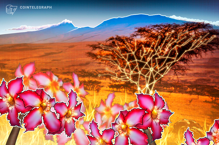 South Africa: The Next Frontier for Crypto Exchanges