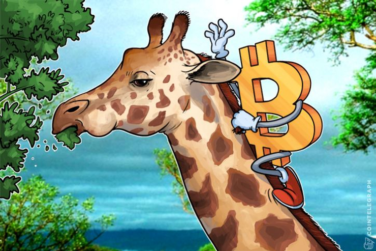 South Africa Tops Bitcoin Google Searches Worldwide in Adoption Spike