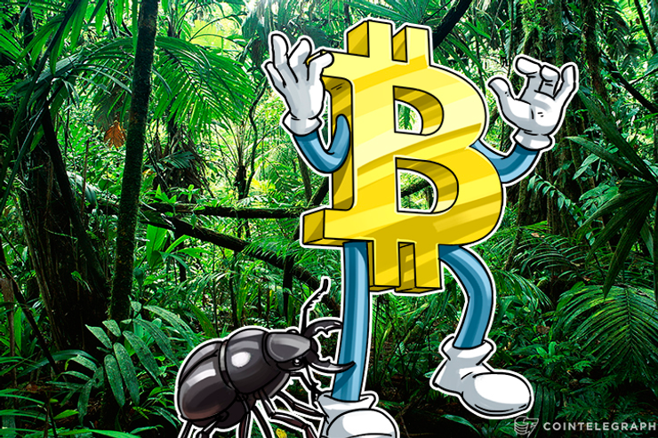 Malicious ISP Can Intercept Bitcoin Traffic: Study