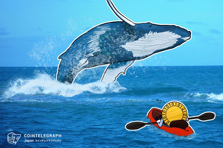 イーサリアムのクジラ 仮想通貨ETHの保有額を増やす