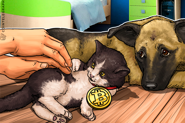 El CEO de Morgan Stanley minimiza a Bitcoin y se une al coro de banqueros