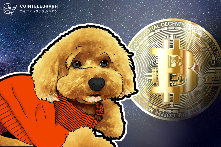 ビットコイン、2万8000ドル到達の可能性も その根拠は?【トシムリンの仮想通貨相場分析】