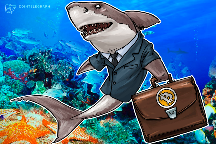 مستشارو الاستثمار بحاجة لزيادة معرفتهم بالعملات الرقمية وبلوكتشين حسب قول خبير استراتيجي بالتكنولوجيا المالية