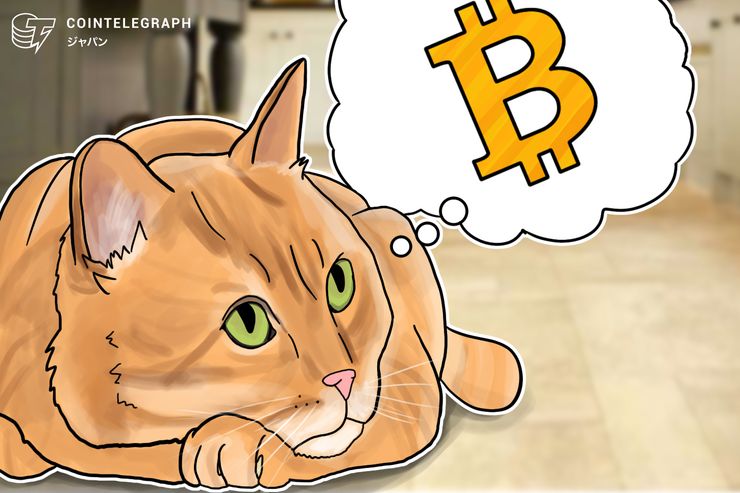 【12月4日 昼の仮想通貨ニュースまとめ】 ビットコインとリップルで明暗?