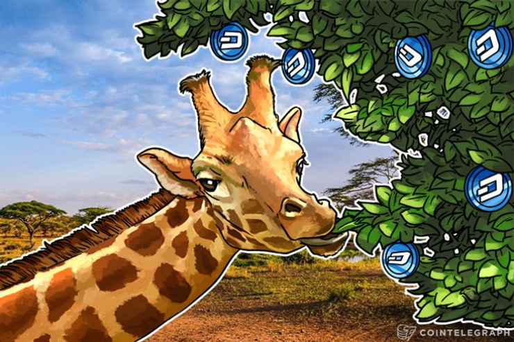 Dash Reaches Dizzying Highs As Enthusiasm for Number 3 Crypto Grows