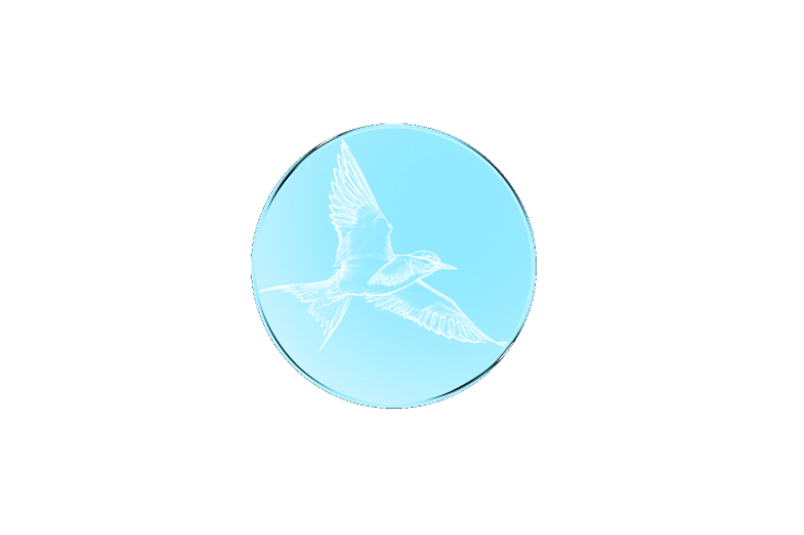 Freicoin