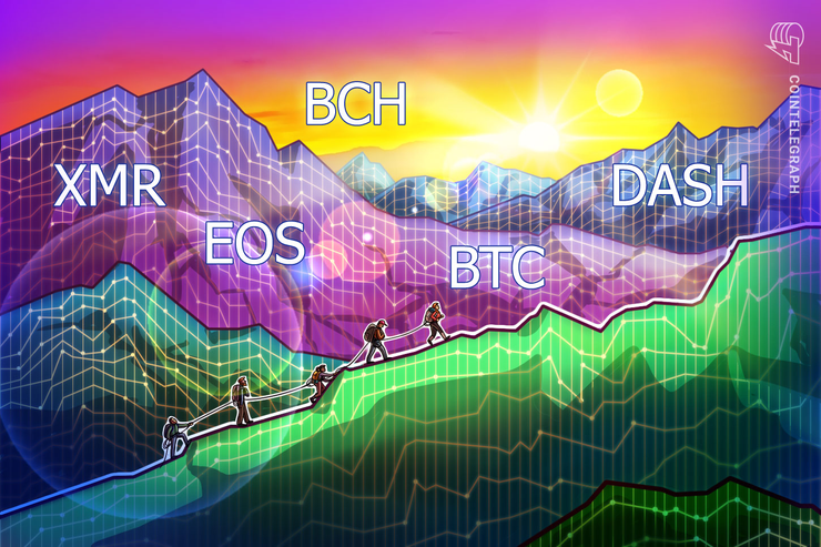 Top 5 Krypto-Performer: XMR, EOS, BCH, BTC, DASH