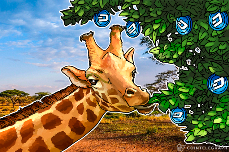 Dash’s Baby Giraffe: Govts Could Target Businesses That Seek to Integrate Anonymous Currencies
