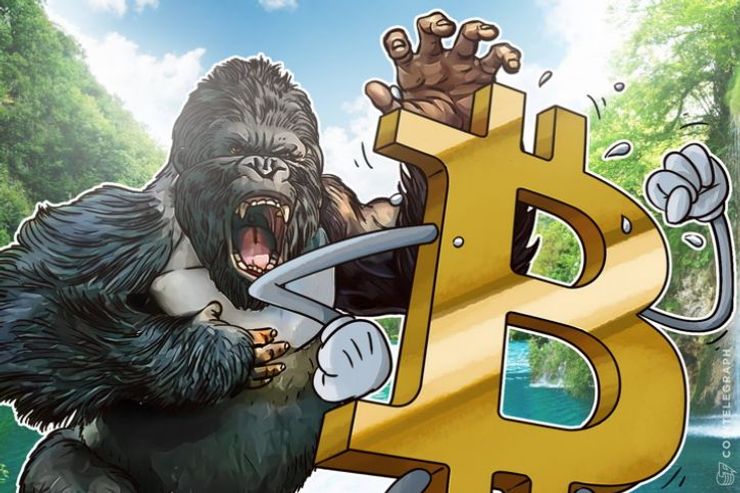 ビットコインは2016年を乗り切れるか?