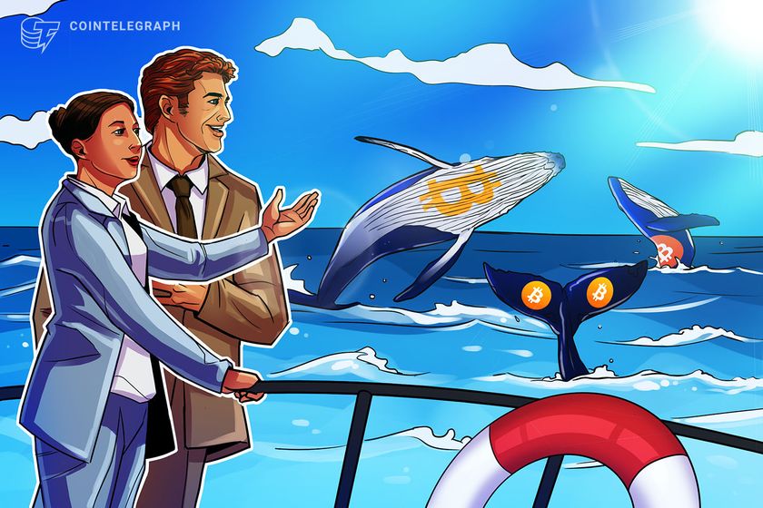 Bigger Bitcoin wallets are stacking while others sell: Santiment