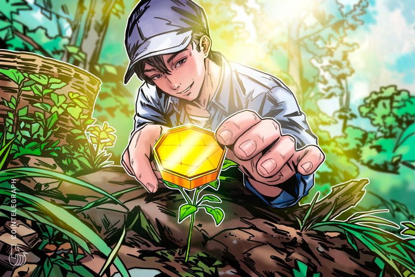 Trendspotting in crypto: How to discover winning projects before the crowd