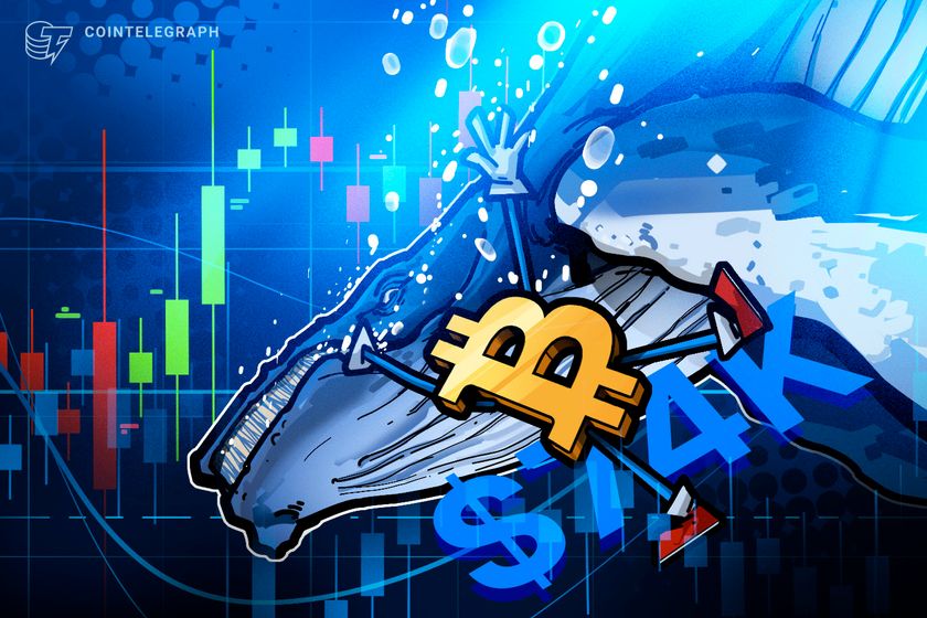 Bitcoin to K? Hyperliquid whale opens new 1,240 BTC short
