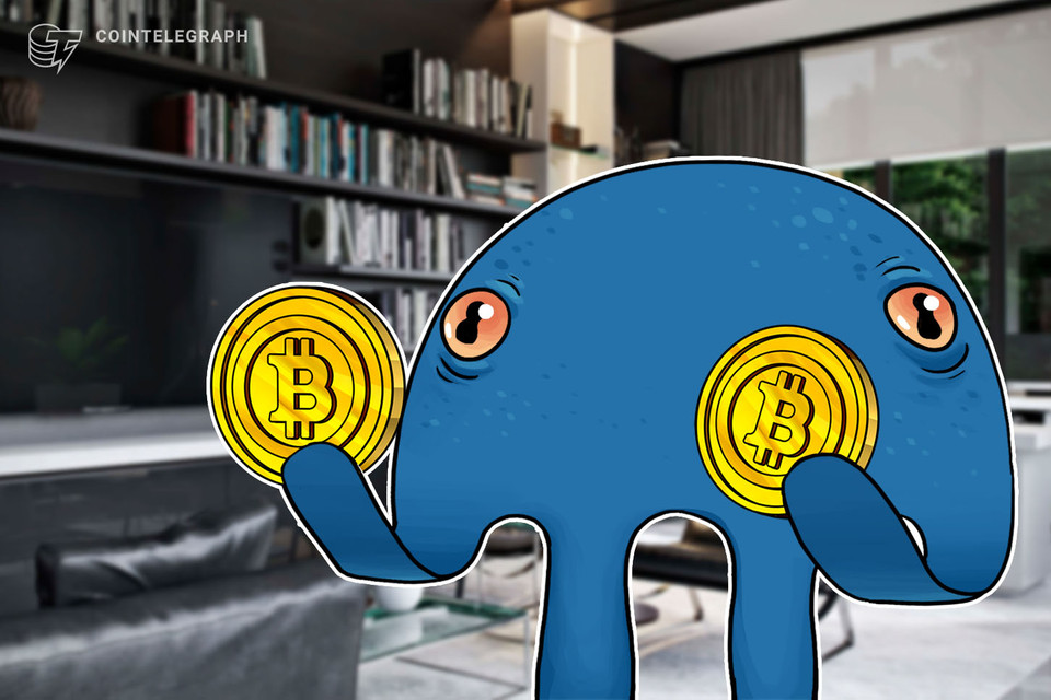 kraken-paid-250-salaries-to-staff-in-bitcoin-last-month-exchange-tells